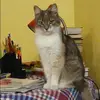 Отзыв от Наталия Логинова